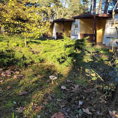 Osrodek Wypoczynkowy Jelonek *