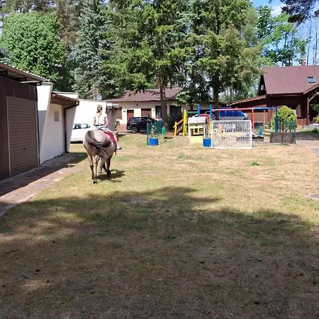 Osrodek Wypoczynkowy Jelonek Resort