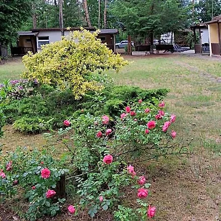Resort Osrodek Wypoczynkowy Jelonek