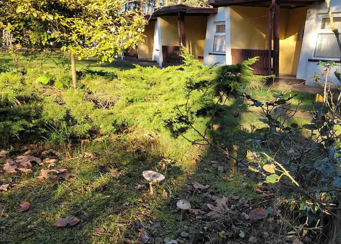 Osrodek Wypoczynkowy Jelonek *